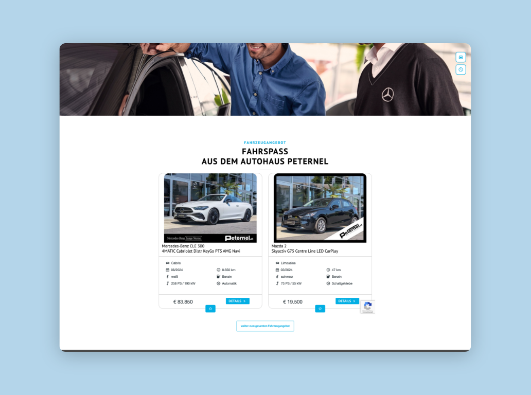 Desktop-Screenshot mit Fahrzeugen als Produkte bei Peternel.