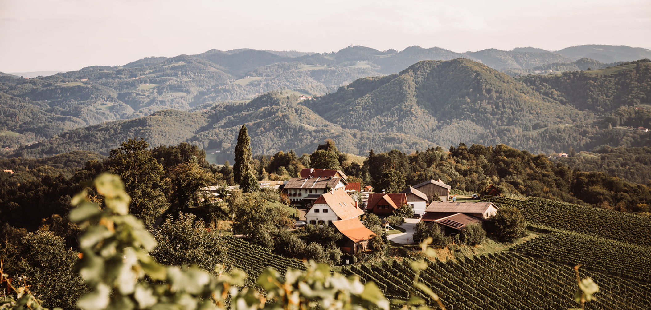 Luftaufnahme des Kollerhof am Eichberg.