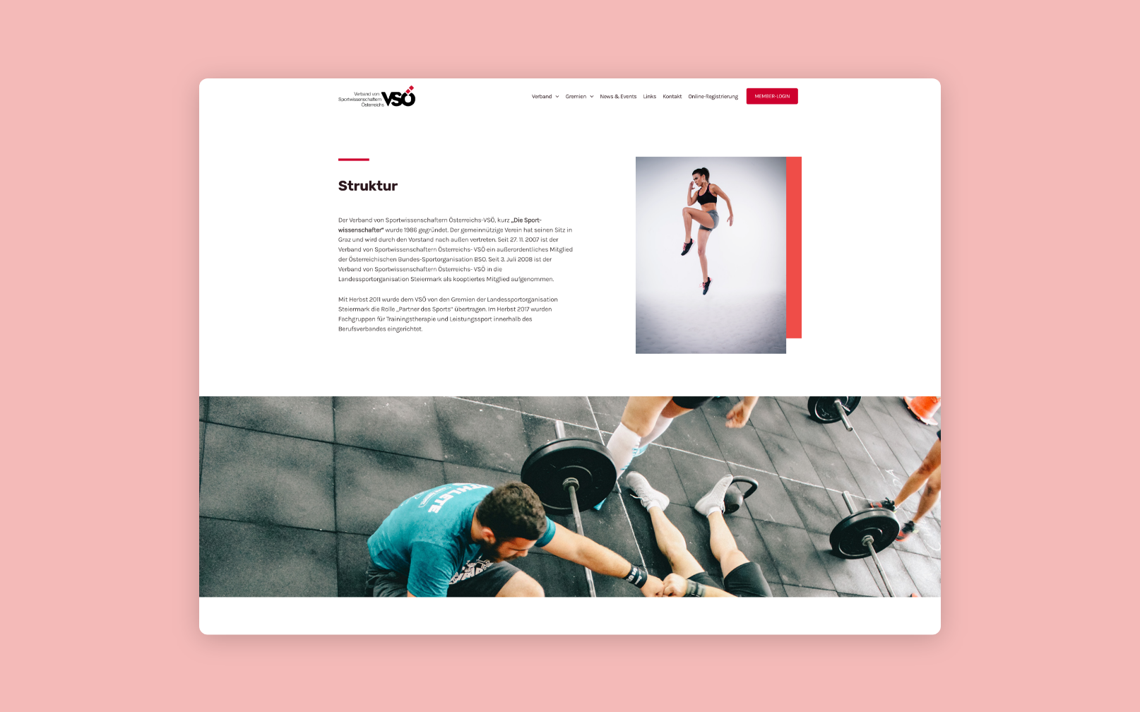 Desktop-Screenshot zur Struktur des VSÖ – Sportwissenschaft.