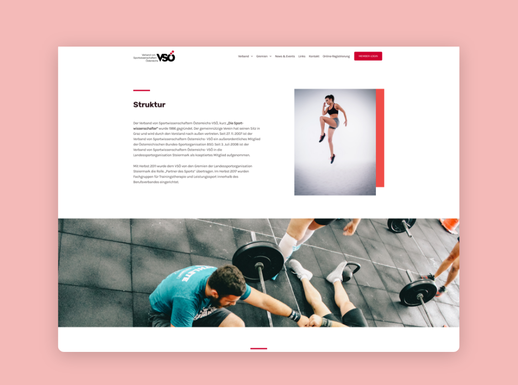 Desktop-Screenshot zur Struktur des VSÖ – Sportwissenschaft.