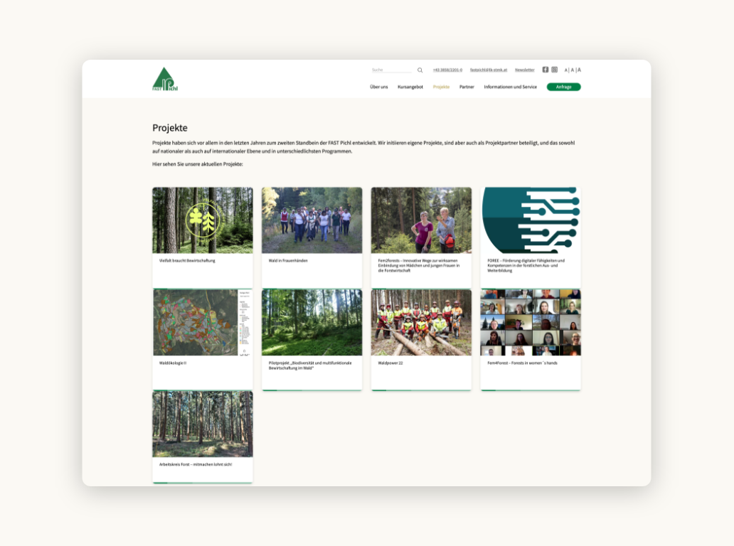 Desktop-Screenshot der Projektübersicht von Fastpichl.